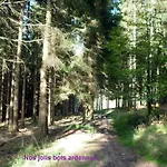 Ardennen 5 5 Bad 14 Pers Zugang Chaisards By Interhome Hamoir