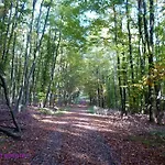 Ardennen 5 5 Bad 14 Pers Zugang Chaisards By Interhome Hébergement de vacances *