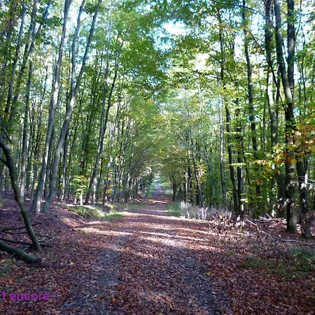 Ardennen 5 5 Bad 14 Pers Zugang Chaisards By Interhome Holiday home *