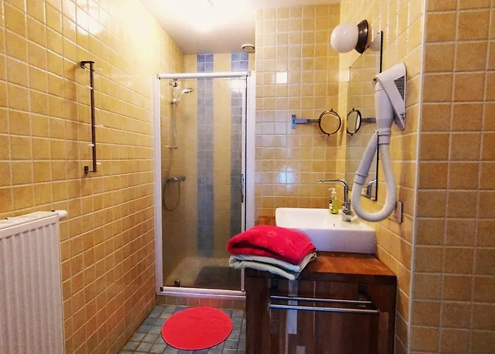 Ardennen 5 5 Bad 14 Pers Zugang Chaisards By Interhome