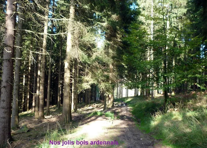 Ardennen 5 5 Bad 14 Pers Zugang Chaisards By Interhome Hamoir