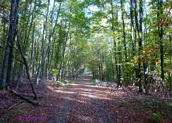 Ardennen 5 5 Bad 14 Pers Zugang Chaisards By Interhome Holiday home *